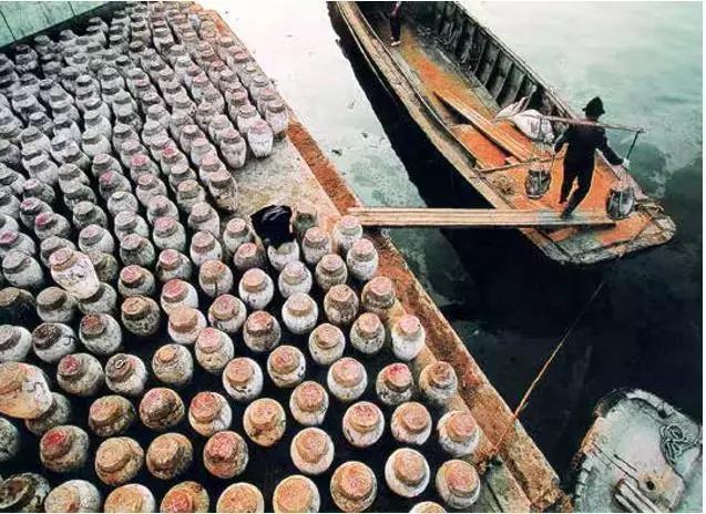 浙江最有灵魂的城市,浙江有花香味