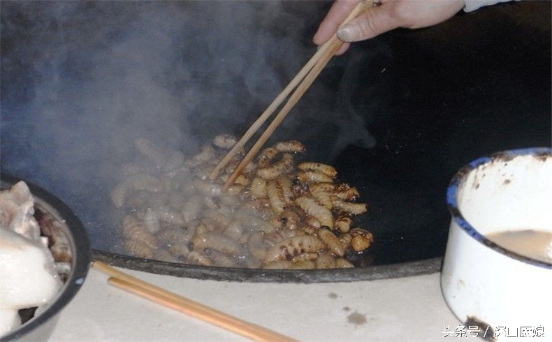 蛆虫吃法大全,肥肥的黑猪肉怎么吃