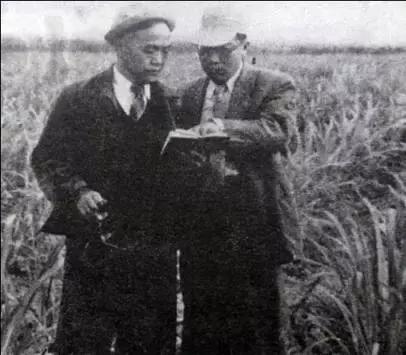 兵荒马乱的年代怎么生存,普通农民子弟怎么样才可以当大官