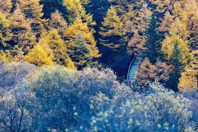 到底是去西藏还是去川西,西藏与川西这辈子总要来一趟吧