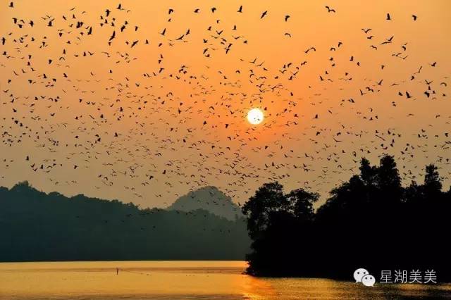 广东肇庆风水大势分析,肇庆风水大揭秘