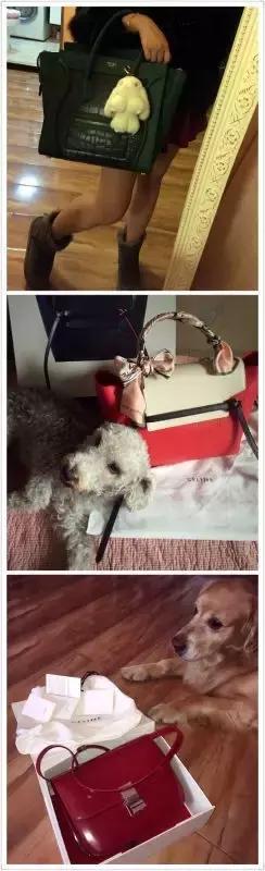 赵薇舒淇周迅汤唯,赵薇舒淇小燕子