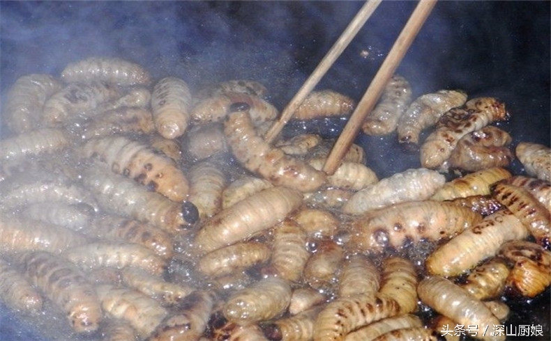 蛆虫吃法大全,肥肥的黑猪肉怎么吃