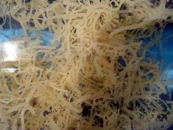 象山石浦渔港古城开渔节,开渔节暨海鲜美食文化旅游节