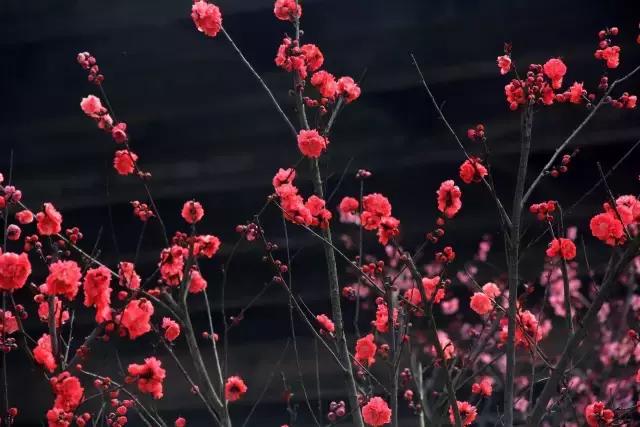 一封火爆全网的辞职信,一封辞职信的心声