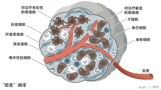 科普肿瘤的慢性病治疗模式,肿瘤耐药的研究方法