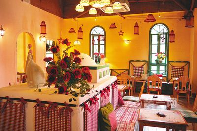 柚子表白师姐,摆柚子