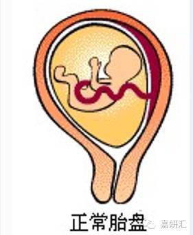 胎盘的十大知识,不同阶段的胎盘