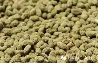 奶奶的黄豆西瓜酱,黄豆西瓜酱的做法