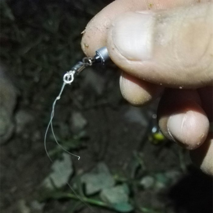 东江小湖野钓,东江野钓大一点的鱼