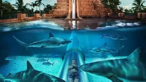 阿联酋对华免费落地签,阿联酋落地签最新通知