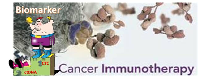 循环肿瘤细胞研究现状,循环肿瘤细胞检测阴性是什么意思