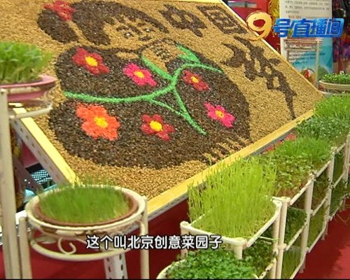 缁胯壊鍏变韩鑿滃洯,缁胯壊鍐滃満鍏变韩鑿滃洯