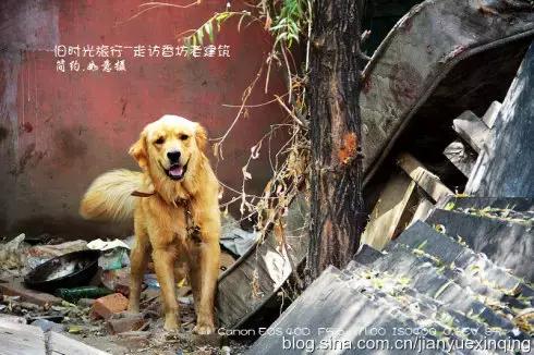 哈尔滨81年的老房子值得买吗,哈尔滨老房子有多老