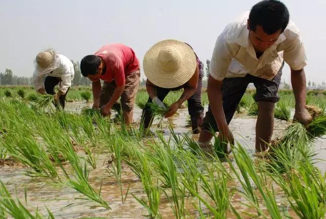 为什么北方习惯洗屁屁,洗屁屁是全国统一的吗