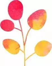 女人坚持用好看的东西,女人一直用一种护肤品好吗