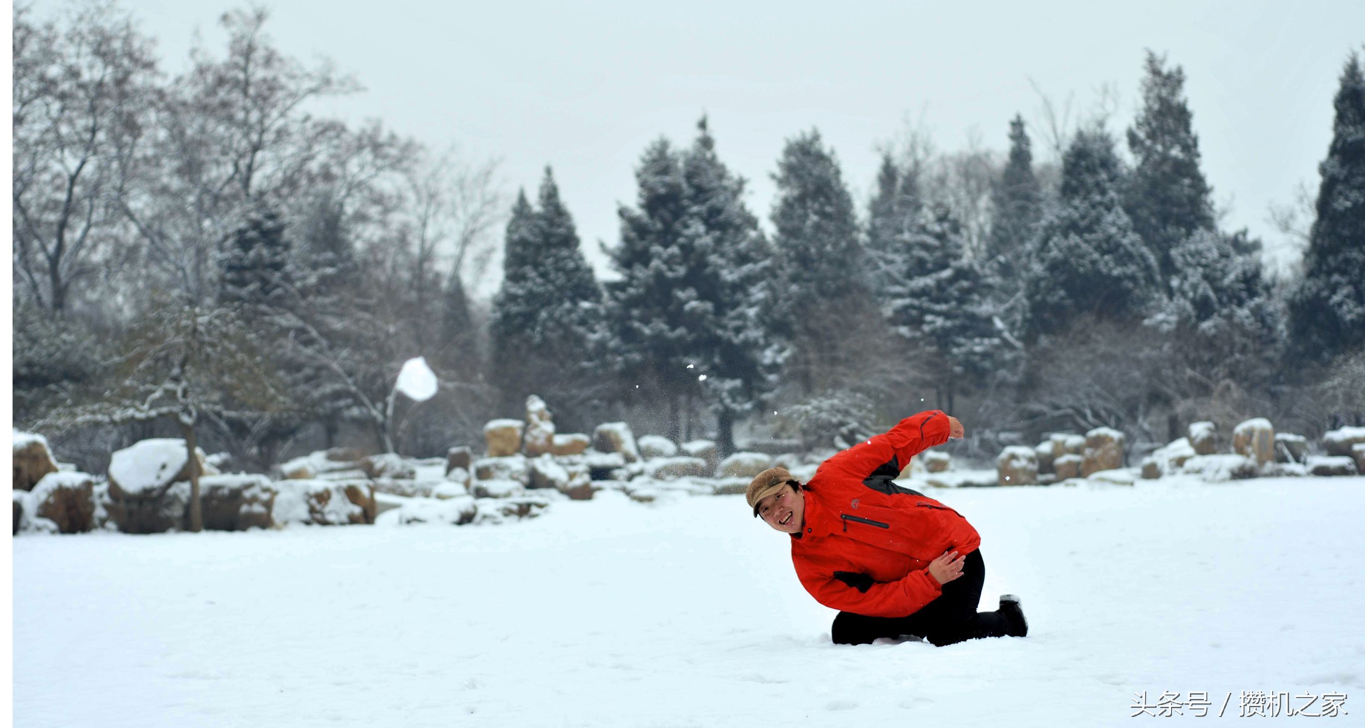 微型单镜头反光相机推荐,最常见的相机有单镜头反光相机吗
