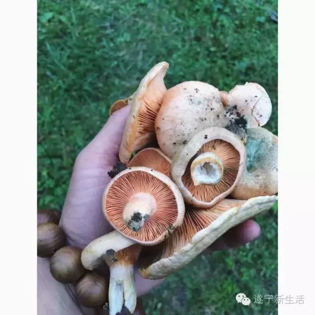 中秋三天去哪里玩推荐,中秋3天去哪里旅游