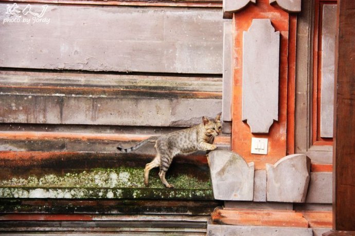 巴厘岛日常艺术照,巴厘岛顶级艺术