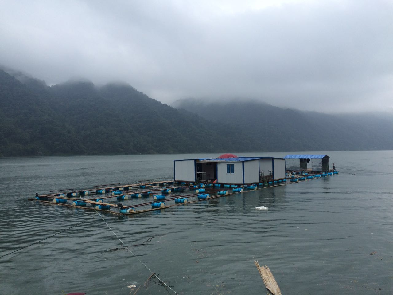 垂钓荒野之河中巨怪,荒野垂钓河中巨怪合集