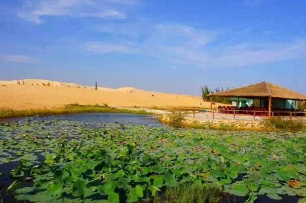 越南美丽的季节,越南越美