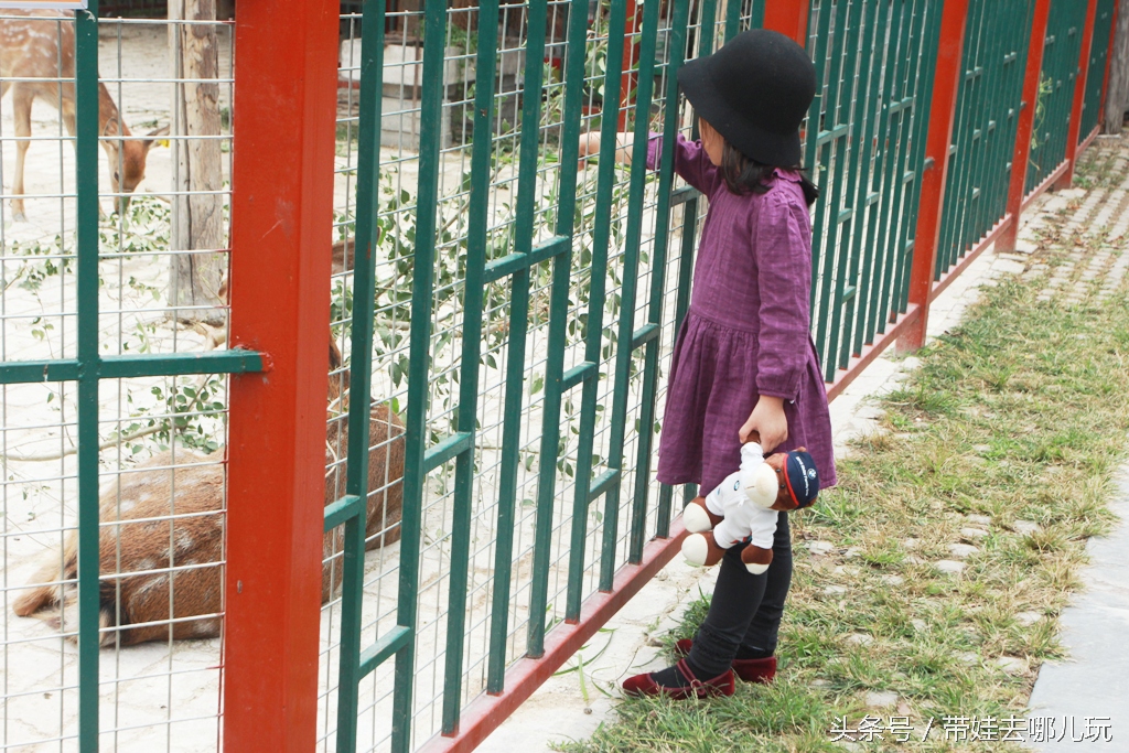 北京昌平区适合带孩子玩的公园,昌平区适合带孩子去的公园