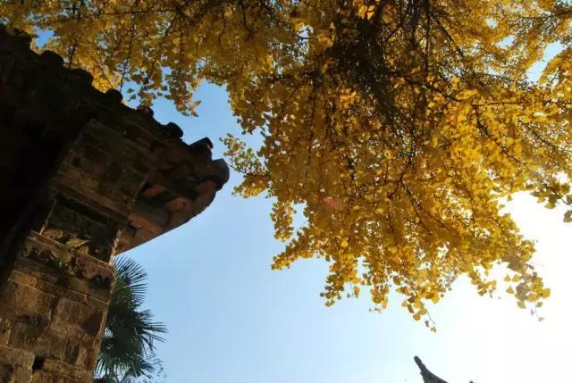 成都附近的旅游景点推荐四姑娘山,距成都五个多小时的地方