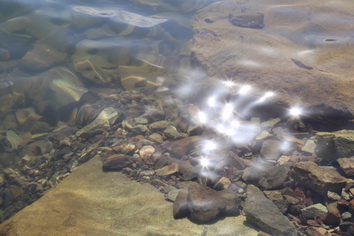 西行之路取经不易,取经不去西天会怎么样