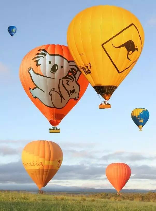 考拉、热气球和现实版的天空之城，这就是凯恩斯