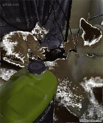 剪刀脚王局长,夺命剪刀脚王局长教学