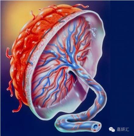 如何观察早期胎盘异常,知道这五点管理就会轻而易举