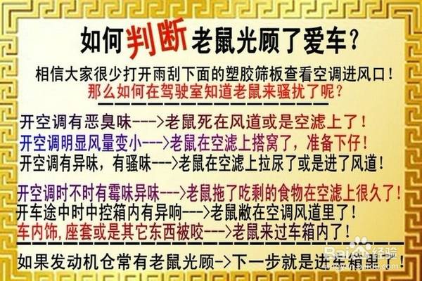 老鼠进车内了有什么好办法找出来,老鼠钻进车底怎么办