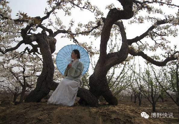 26个英文字母，带你绕着博野走一圈！