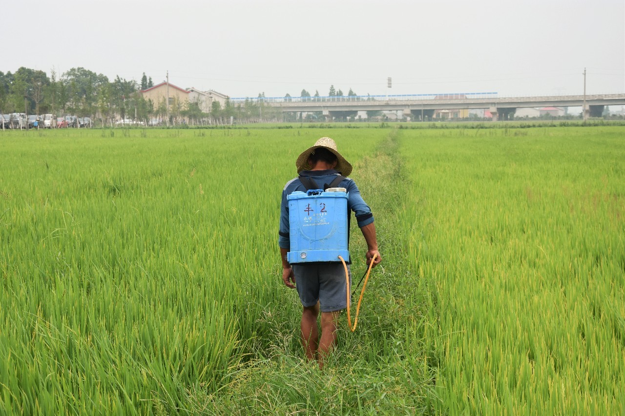 观察型无人机,观测式无人机