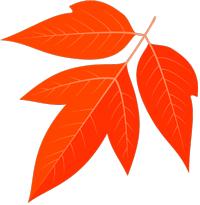 医疗信息腰老疼，那您得来康复医学科腰痛学校了！