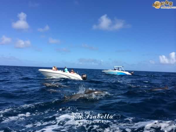 毛里求斯的日常,孤独的毛里求斯