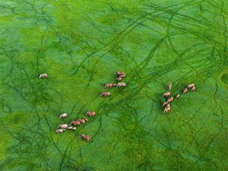 身价数十亿的他除了去无人区摄影，险些丧命，还用了6年时间和30多位石艺老匠人打造了一家不想挣钱的艺术馆