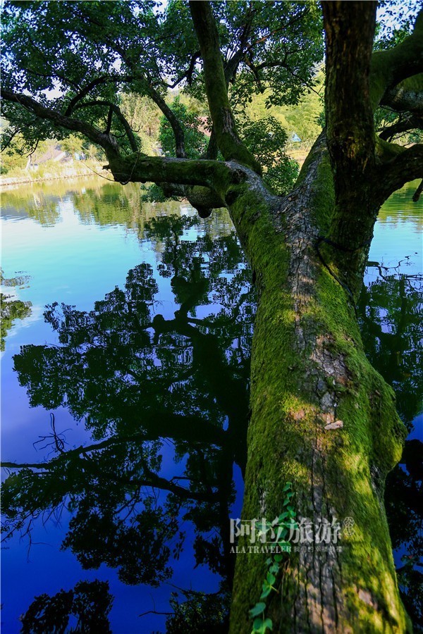 秋风起，宁波人纷纷赶去了这个“浙东第一蟹乡”！湖美螃蟹壮