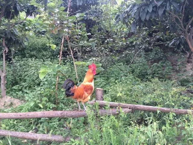 活法｜最好的*眠药安**，就是伸手不见五指