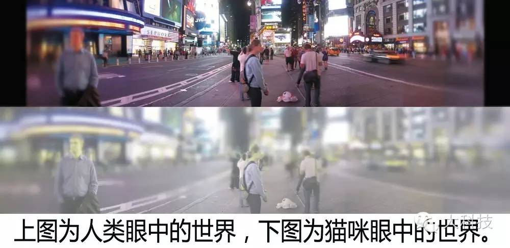 颜色是客观存在的吗,颜色本身存在吗