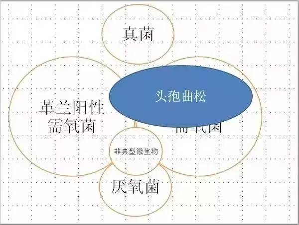 「简单粗暴」最简单明了的抗生素图解！