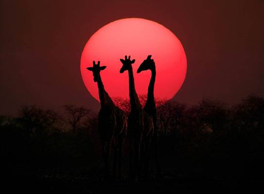 身价数十亿的他除了去无人区摄影，险些丧命，还用了6年时间和30多位石艺老匠人打造了一家不想挣钱的艺术馆