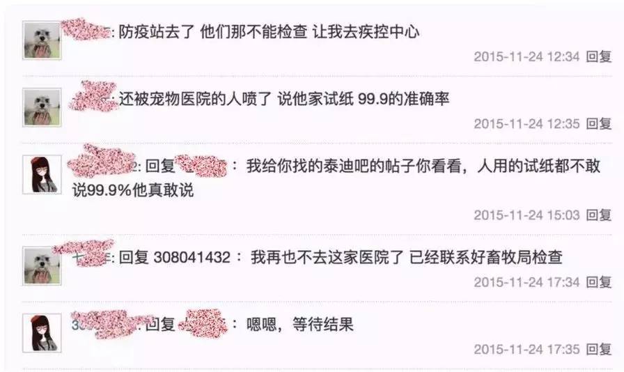 别让试纸草率地夺去猫狗的命！