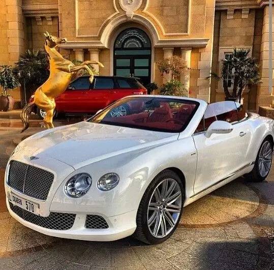 迪拜必买大牌,迪拜旅游是落地签吗