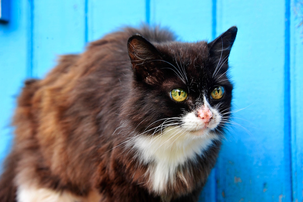 Day76.真正陪你一辈子的只有你自己