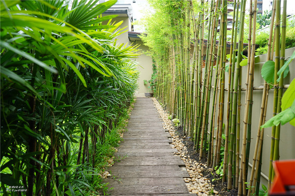 泰国小姐姐体验做spa,泰国旅游spa体验日记