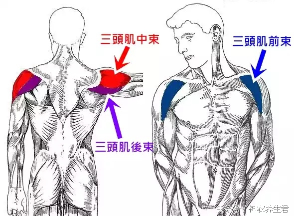 十大常见运动损伤部位及防治,运动损伤最容易出现部位