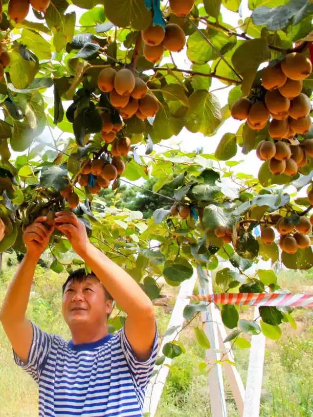羊亭附近景点攻略,羊亭有什么玩的地方
