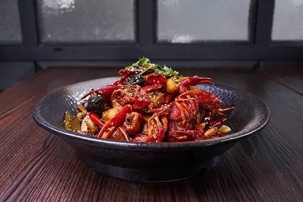 卷福秋冬季新菜发布会(上):一大波卷福的朋友们正在来袭!