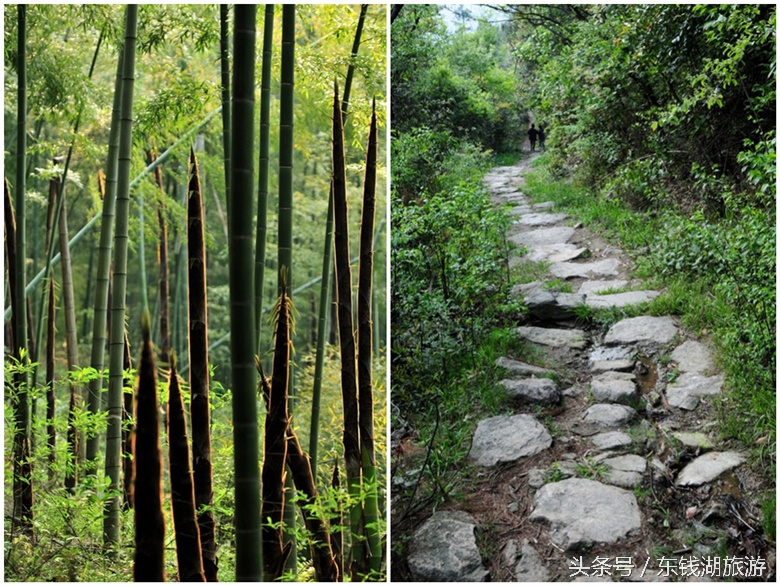 东钱湖旅游攻略徒步路线图,东钱湖古道徒步